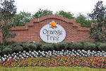 Orange Tree